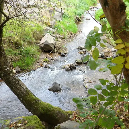 Au Petit Grammont - Magnifique Batisse - 2 *