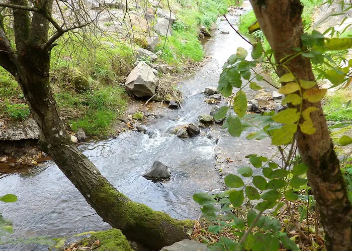 Au Petit Grammont - Piscine & Jacuzzi *